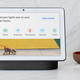 Several Google devices, including the Nest Hub Max, support Thread.